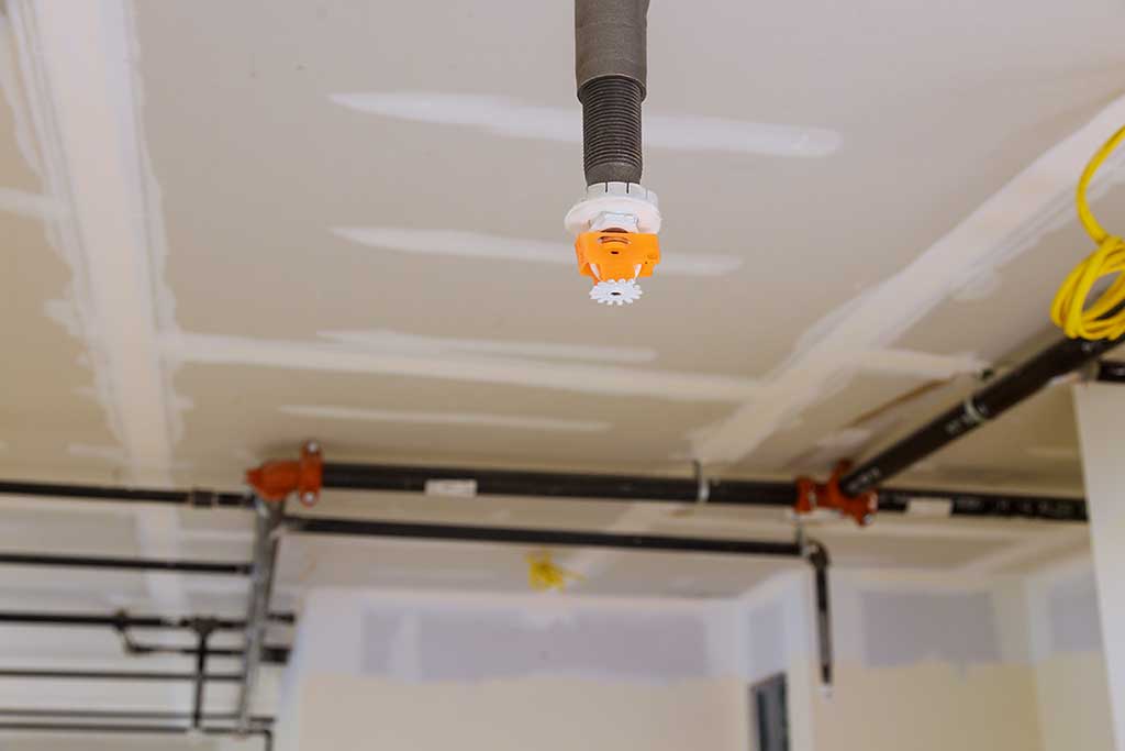 Fire extinguishing system sprinkler detector fire sprinkler